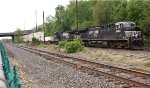 NS 4006 leads 20Q